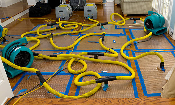 Professional Water Extraction technician working in Lawndale, CA